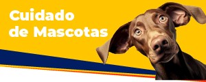 Foto del curso Cuidado de Mascotas Básico